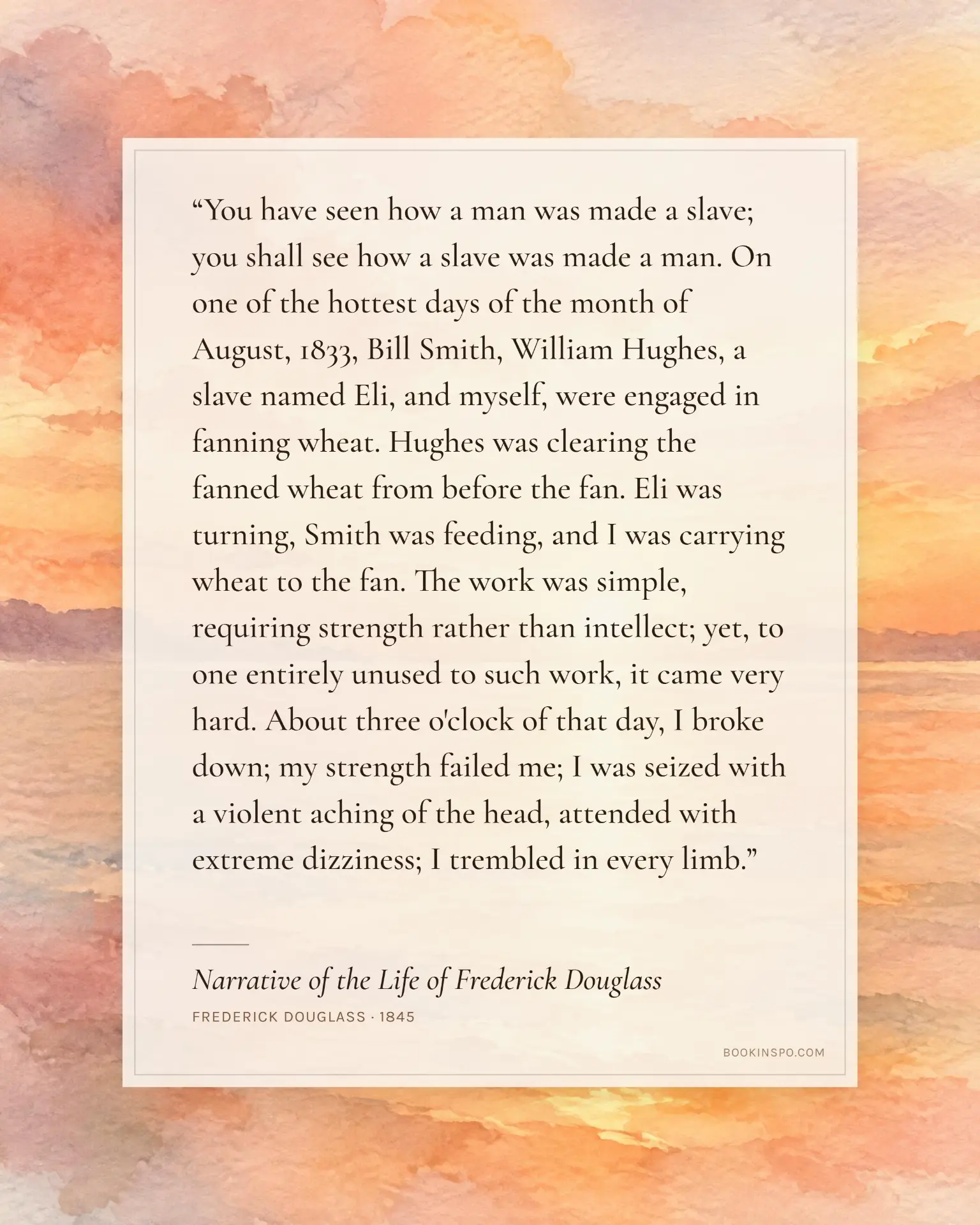 Narrative of the Life of Frederick Douglass passage art